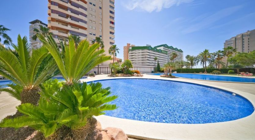 Photo of Coral Beach 02 Apartment 2