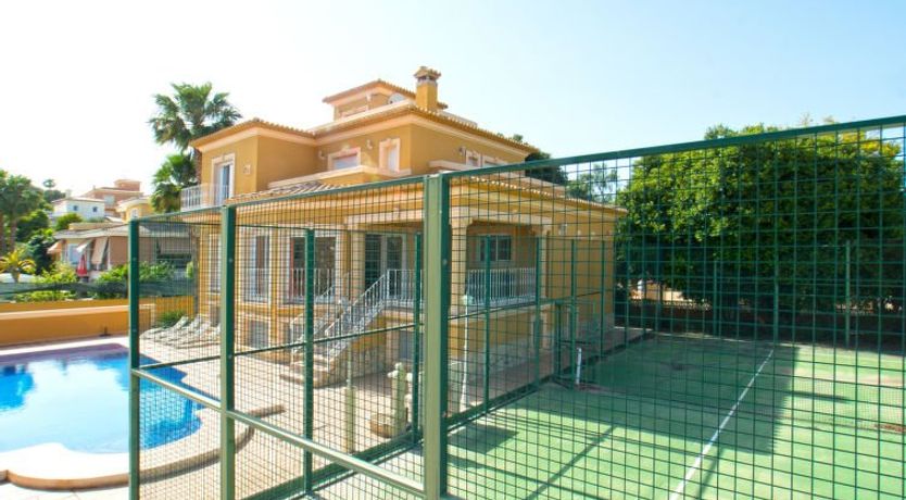 Photo of Santanatenis