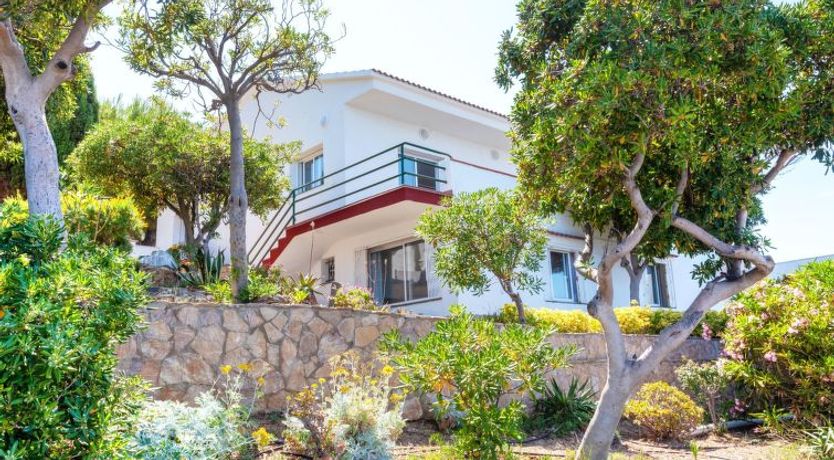 Photo of Don Quijote