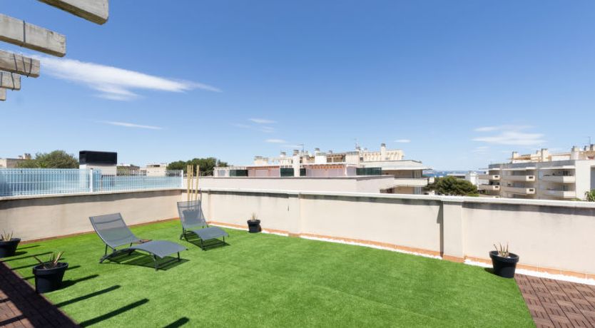 Photo of Bosc de la Montserrada