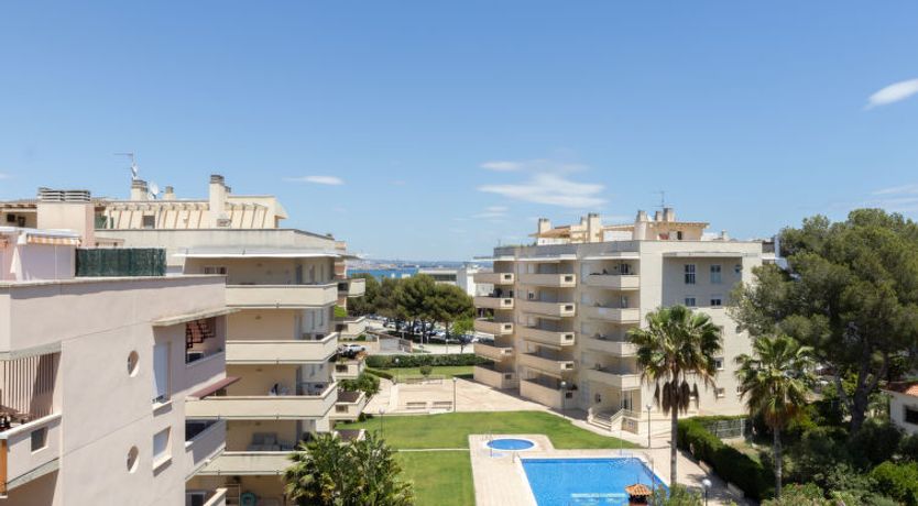 Photo of Bosc de la Montserrada