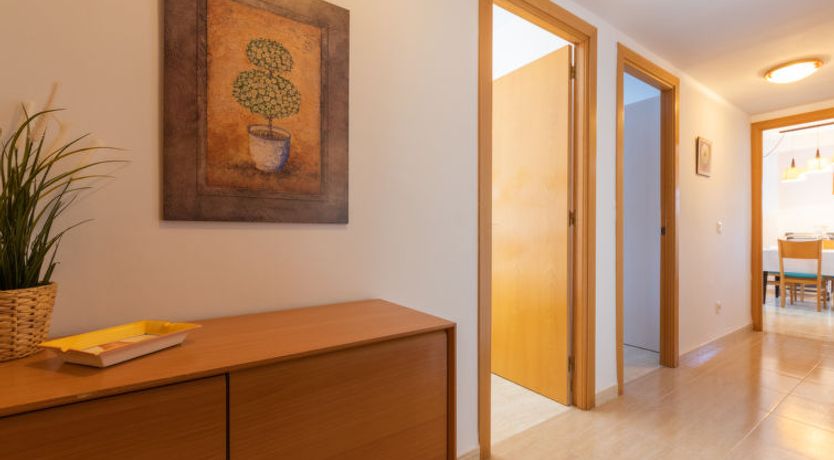 Photo of Bosc de la Montserrada