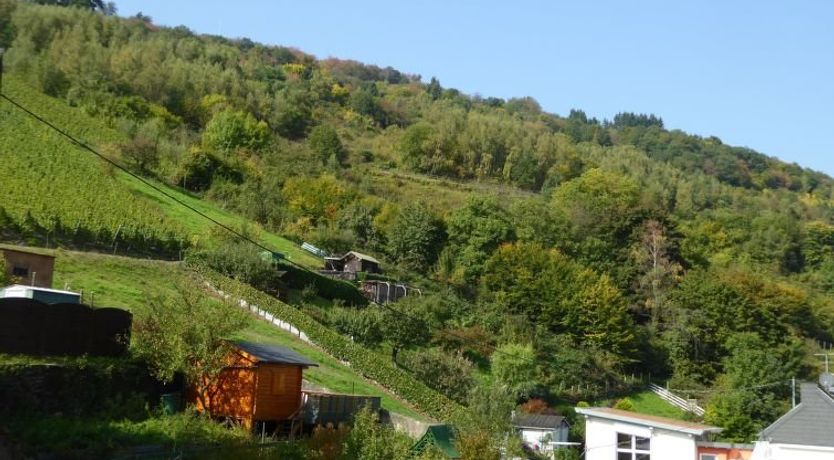 Photo of Weingut Krempel