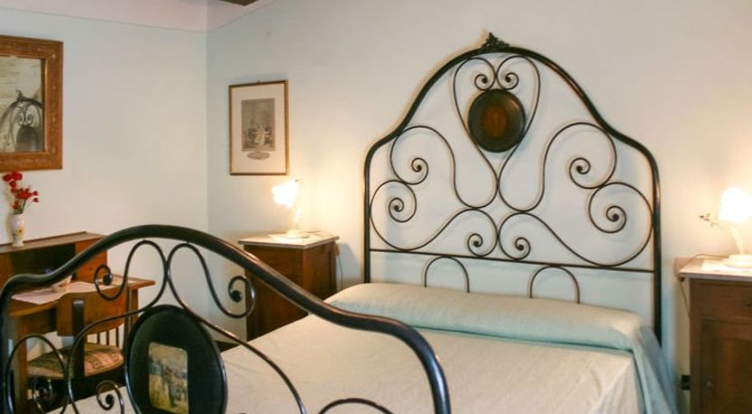 Photo of A spasso tra gli ulivi