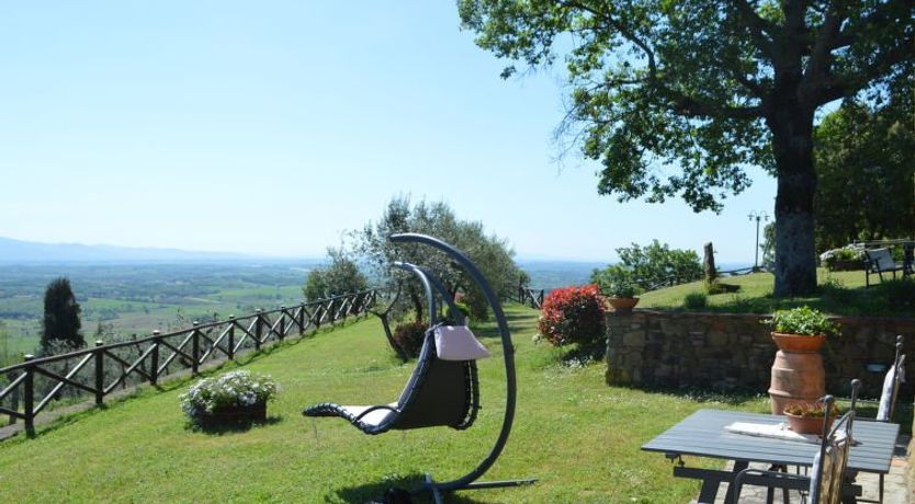 Photo of A spasso tra gli ulivi