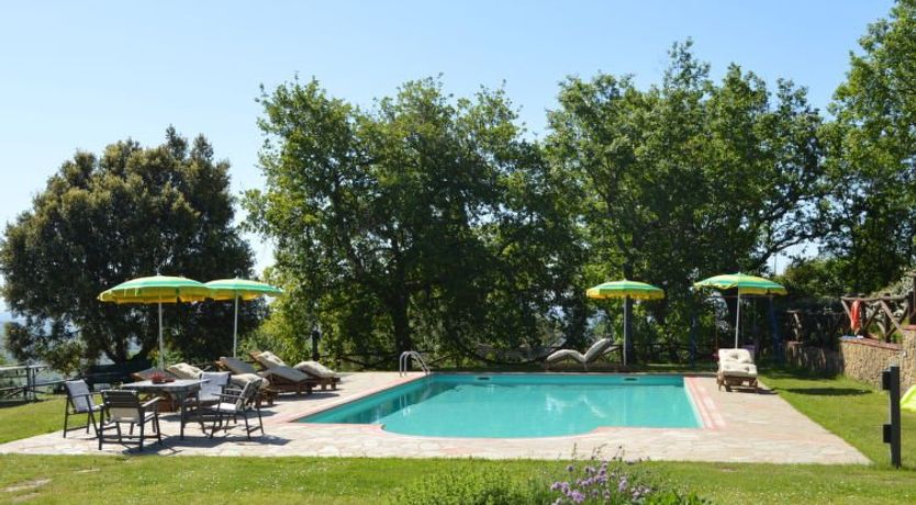 Photo of A spasso tra gli ulivi