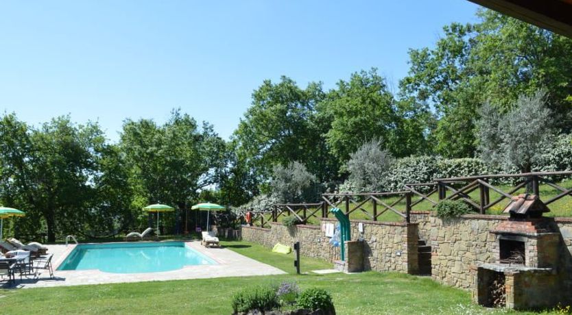 Photo of A spasso tra gli ulivi