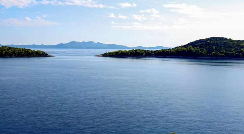 Photo of Martina Apartment 2