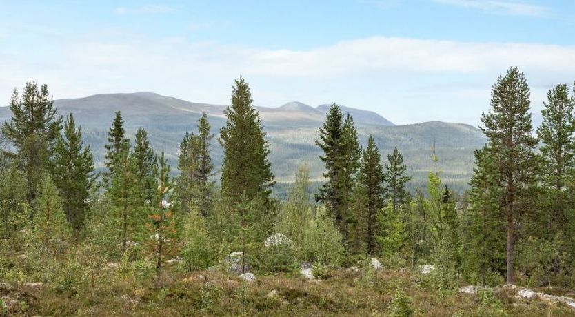 Photo of Lofsdalen Lavskrikan