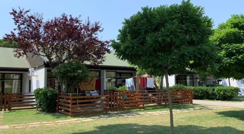 Photo of Dog's Bungalow Apartment 3