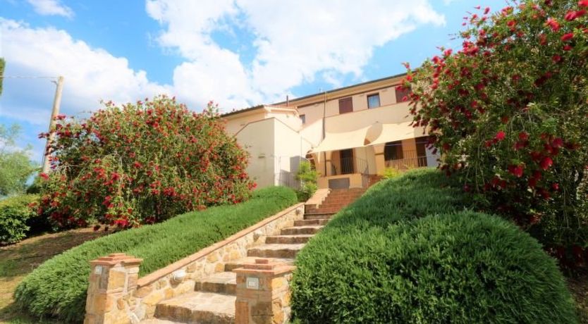 Photo of Cucco - Baia degli Ulivi