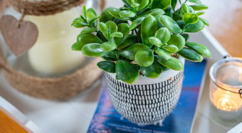 Photo of Loch Leven Lodge 12