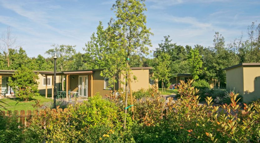 Photo of Laguna Mini Holiday Home 5