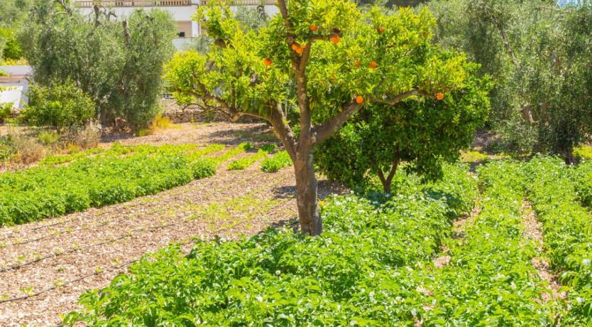 Photo of Villa Tavaglione