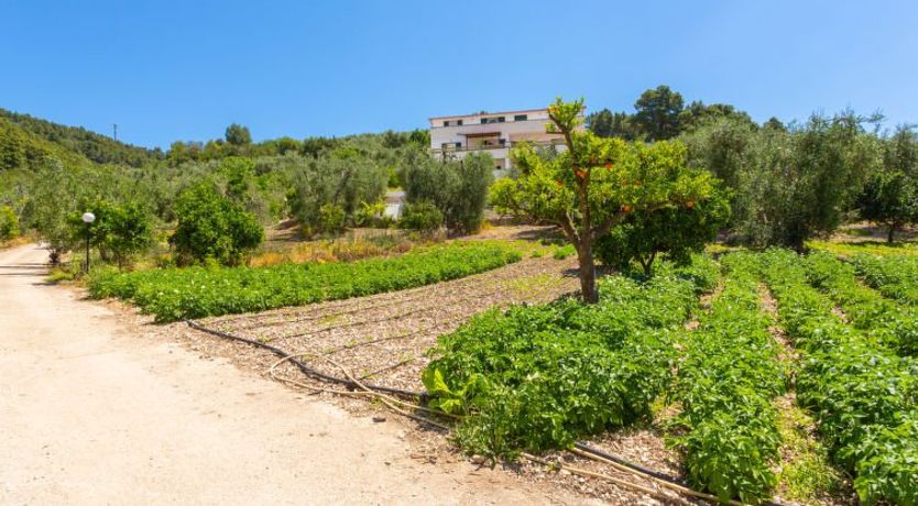 Photo of Villa Tavaglione Apartment 2