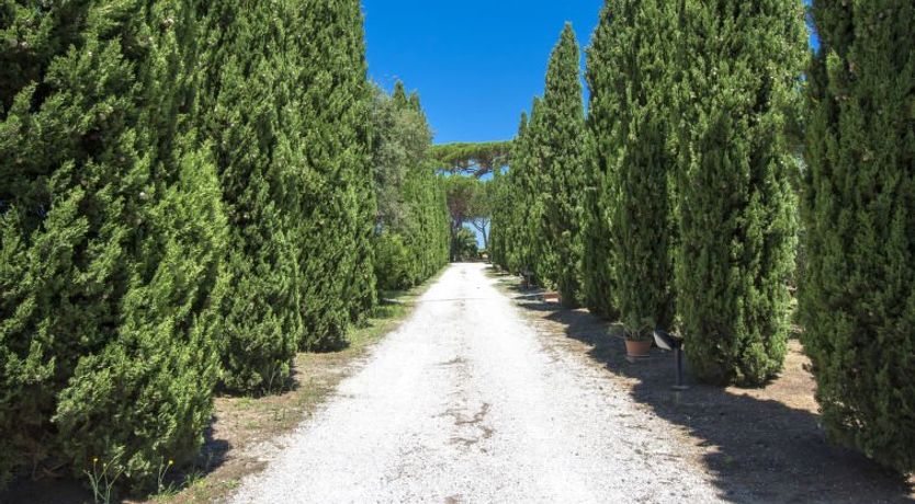 Photo of Podere Tre Termini