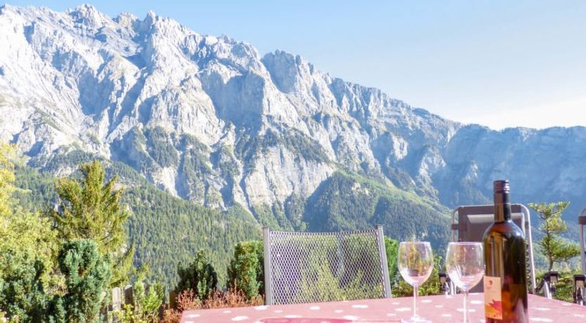 Photo of Ecureuil noir