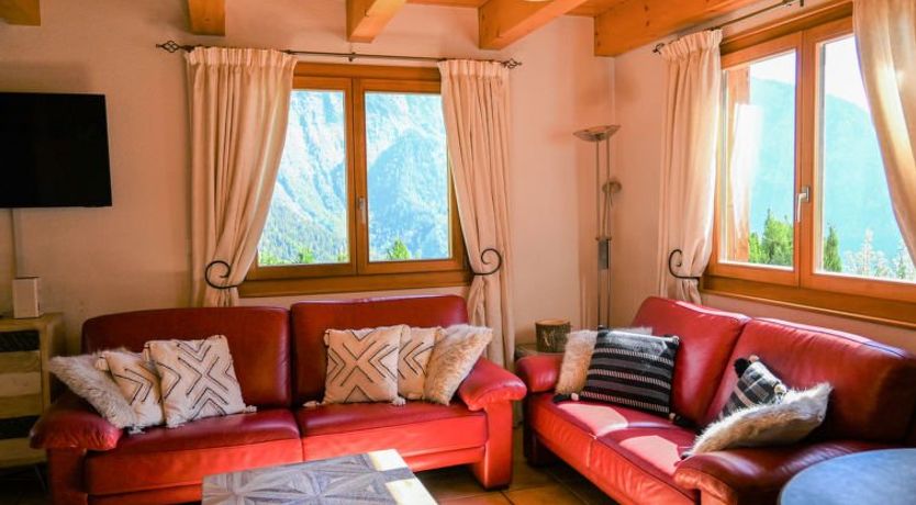 Photo of Ecureuil noir