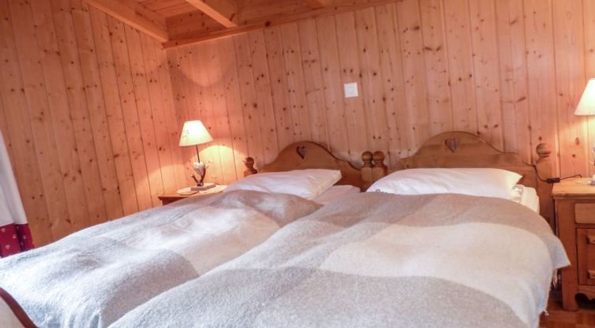 Photo of Ecureuil noir