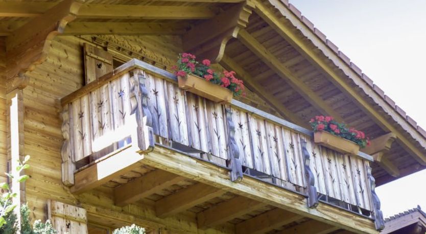 Photo of Ecureuil noir