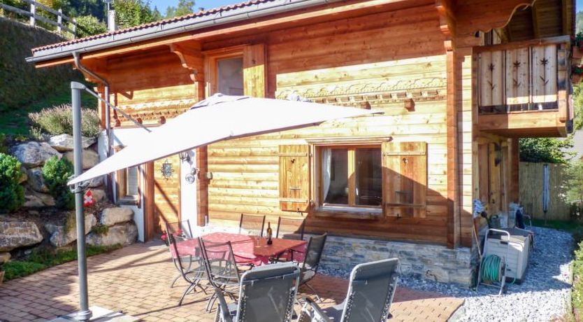 Photo of Ecureuil noir