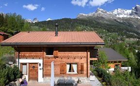 Photo of Ecureuil noir