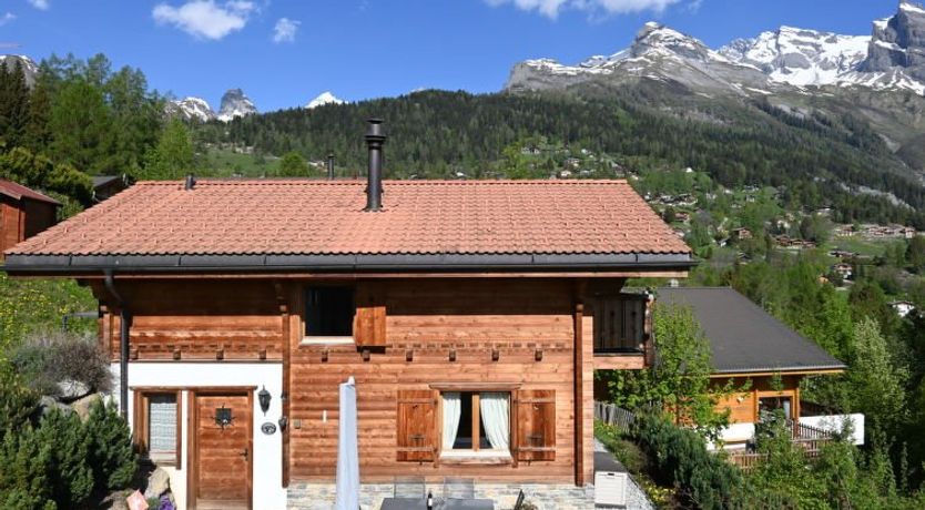 Photo of Ecureuil noir