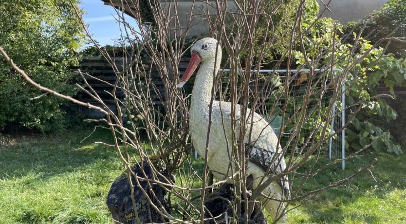 Photo of Old Hüsung (MUZ325) Apartment 6