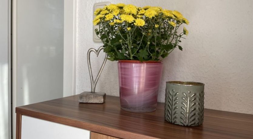 Photo of Old Hüsung (MUZ328) Apartment 9