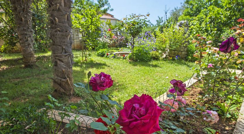 Photo of Danica Apartment 2