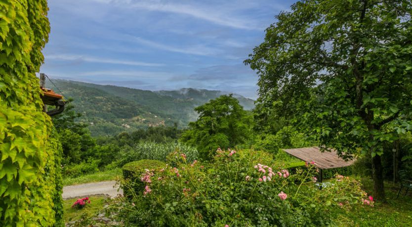 Photo of Podere Piastriccio / Apt.Piccolo Holiday Home 5