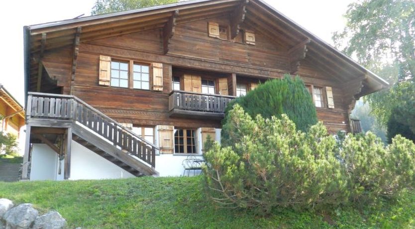 Photo of Hivernants Le Premier