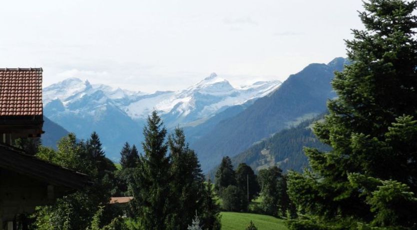 Photo of Hivernants Le Premier