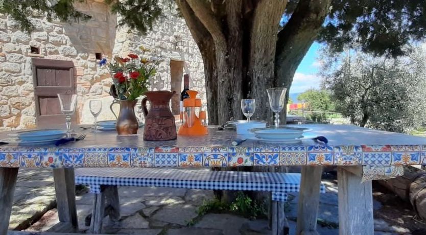 Photo of Mimosa - Borgo la Civitella