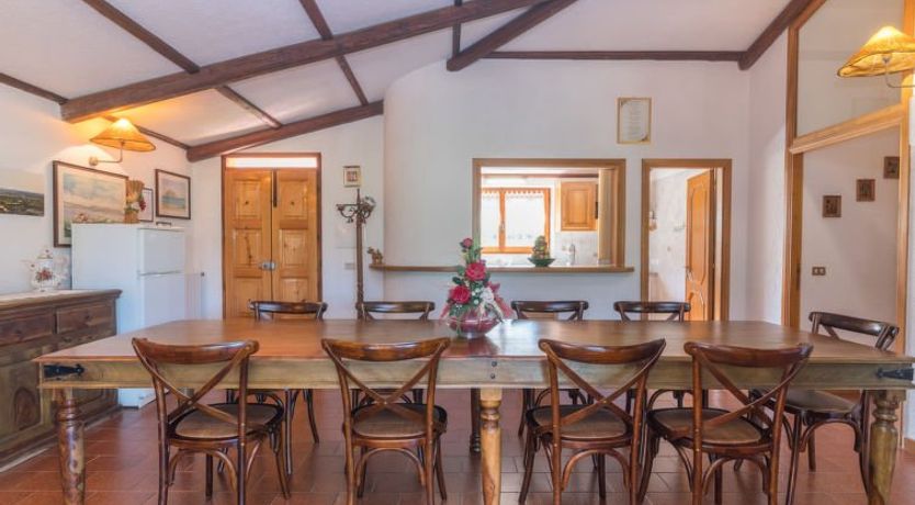 Photo of Michelina (PAU112)