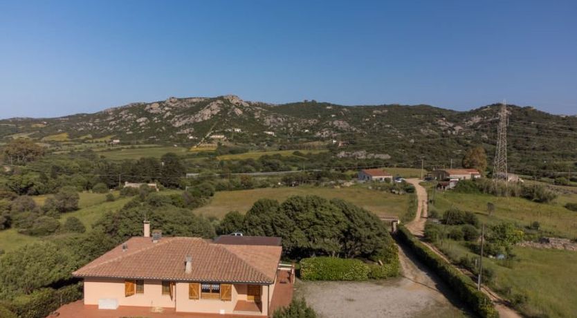 Photo of Michelina (PAU112)