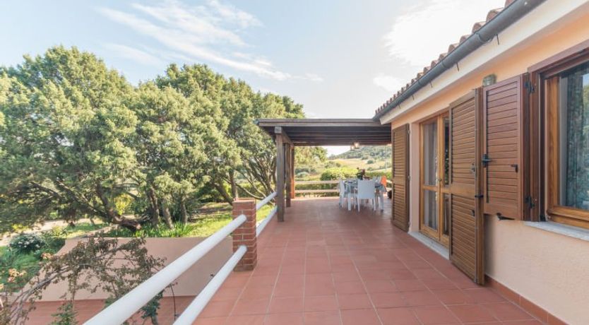 Photo of Michelina (PAU112)