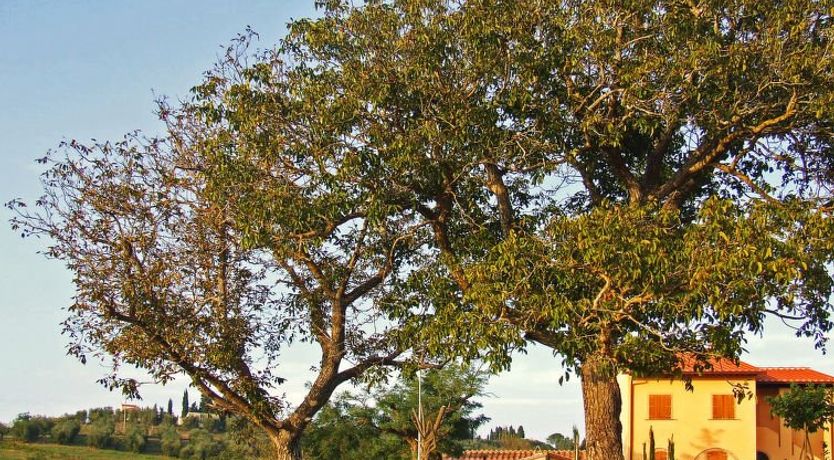 Photo of Le Palaie - 'Padronale' (PEC209) Apartment 10