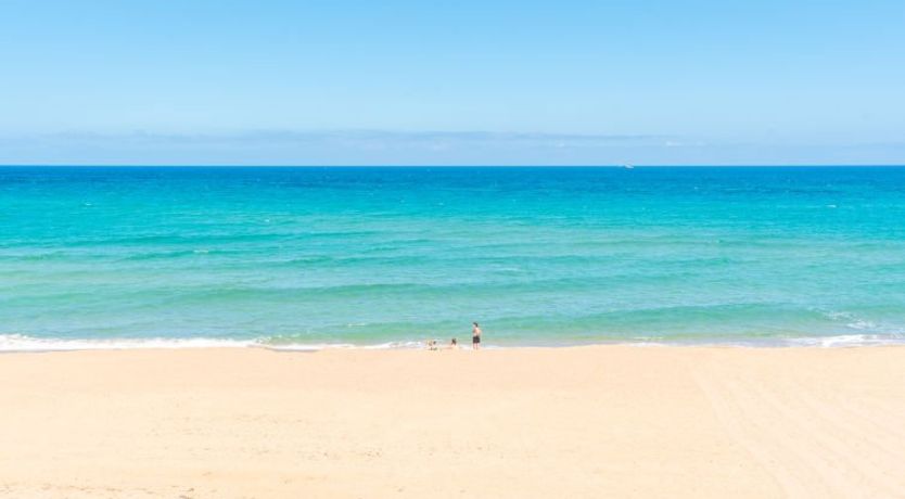 Photo of Villa Selena