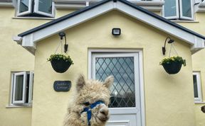 Photo of Saddlers Cottage, Berllandeg Farm