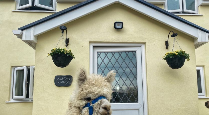 Photo of Saddlers Cottage, Berllandeg Farm