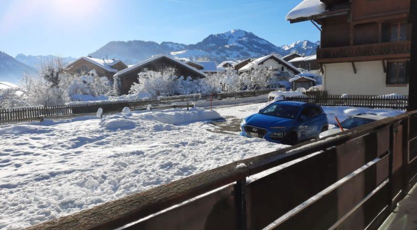 Photo of Mösli (Zimmerli)