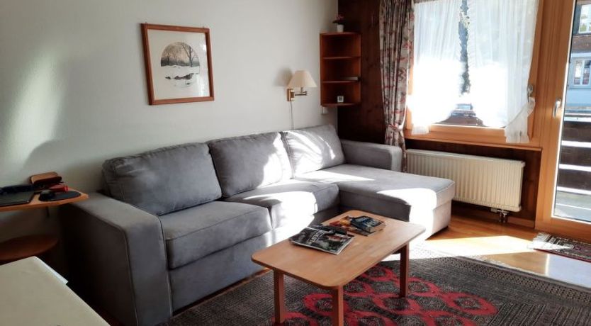 Photo of Mösli (Zimmerli)