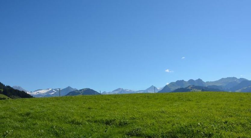 Photo of Anne (Tiefparterre)