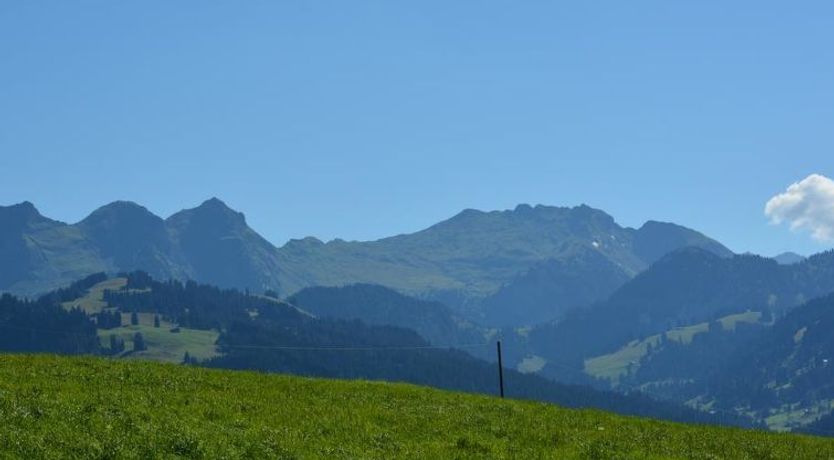 Photo of Henry (Hochparterre)