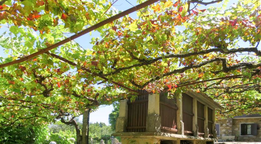 Photo of Senhor do Socorro