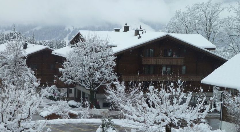 Photo of Suzanne Nr. 18