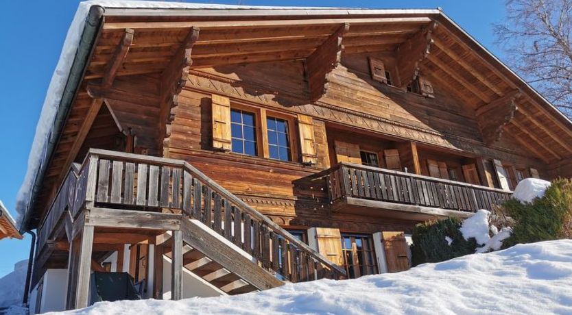 Photo of Les Hivernants (EG links)