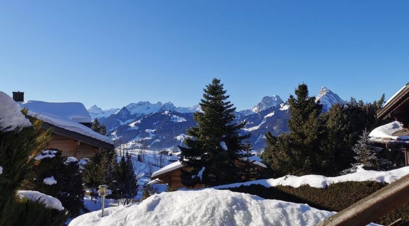 Photo of Les Hivernants (EG links)