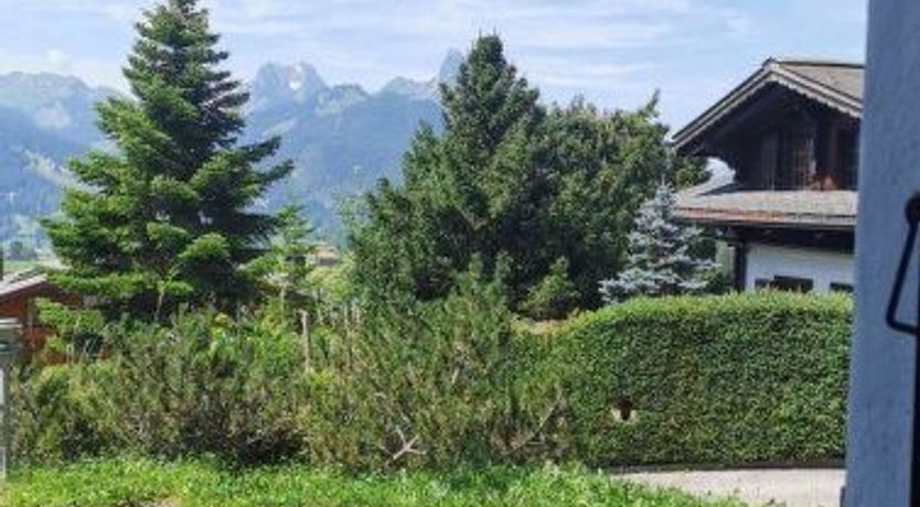 Photo of Les Hivernants (EG links)